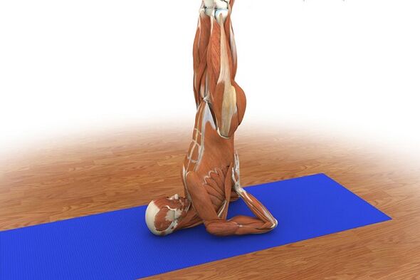 Esercizio di potenza “Betulla”